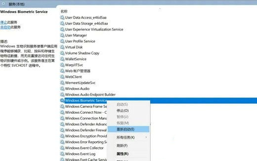 Win11面部识别问题解决方案:无法识别Windows Hello人脸摄像头  第3张