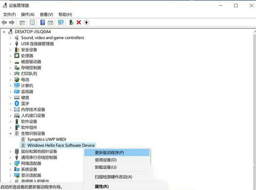 Win11面部识别问题解决方案:无法识别Windows Hello人脸摄像头  第2张