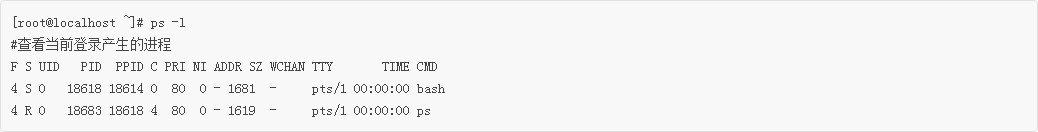 Linux初学者：使用PS命令查看活跃进程
