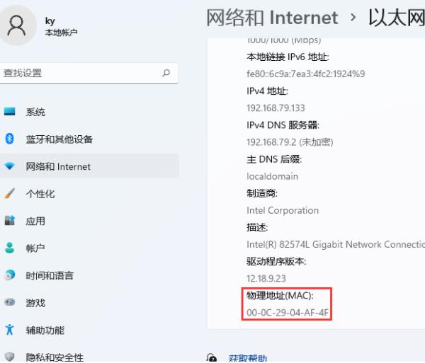 如何查看Windows 11网卡的MAC地址  第5张