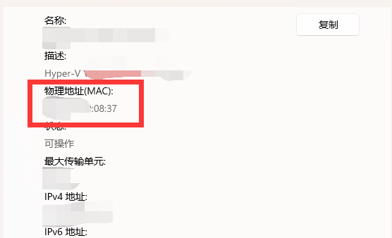 Win11怎么查看Mac地址