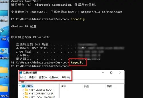 Win11在终端中打开什么意思