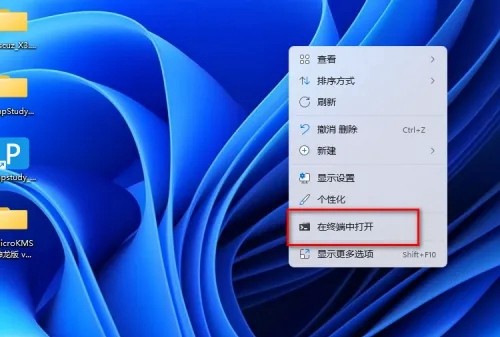 Win11在终端中打开什么意思