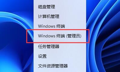 Win11打开图片闪退怎么办