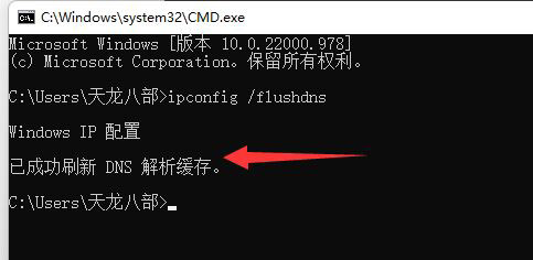 Windows11网络dns异常怎么解决