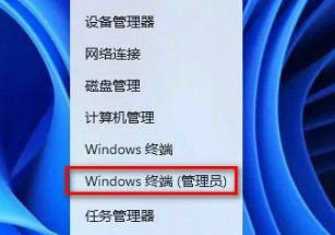 Win11精简版怎么恢复应用商店