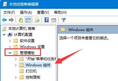 win11怎么关闭驱动自动更新