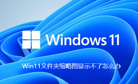 Win11文件夹缩略图显示不了怎么解决