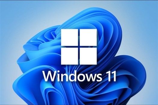 Win11开机密码正确但进不去怎么办