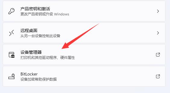 Win11如何查看自己电脑的显卡信息