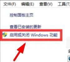 Win11怎么打开IIS管理器