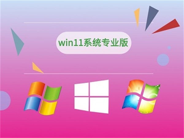 win11家庭版和专业版有什么区别