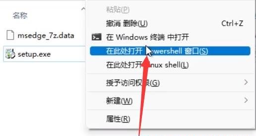 Win11无法卸载edge浏览器怎么办  第3张