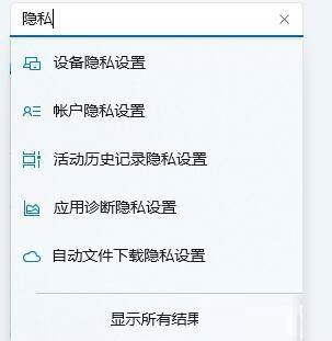 win11设置隐私功能的详细方法  第5张