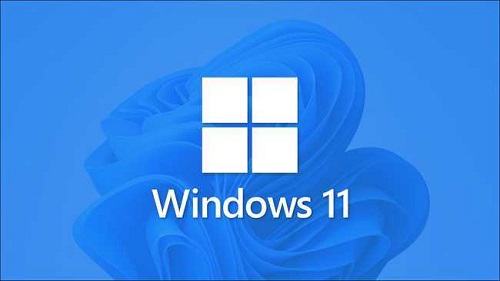 Win11更新后打开安全模式会闪屏怎么解决