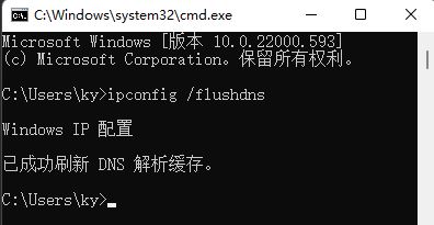 Win11提示dns解析状态异常怎么处理(已解决)