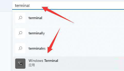 Win11总弹出找不到wt.exe提示怎么办