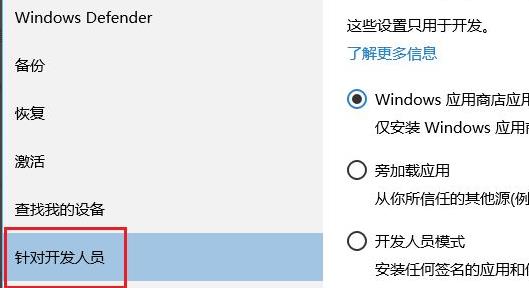 Win11开发者预览打不开怎么办