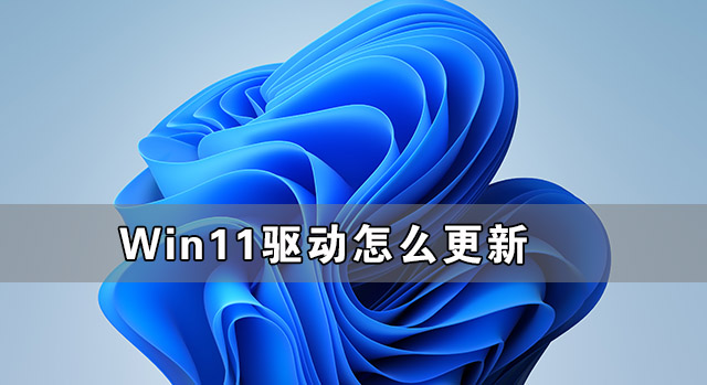 为什么不建议升级Win11