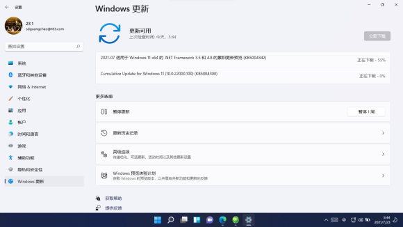 Windows11 22000.100更新完闪屏怎么解决