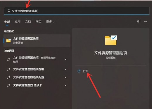 Win11文件后缀名如何显示