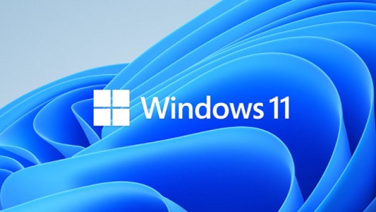 Win11 pro是什么版本