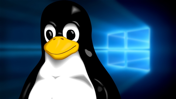 Linux为何干不过Windows系统